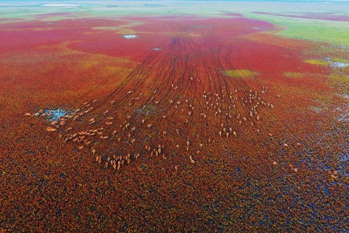 自然?；で锉继?>
     <p>自然保护区动物奔腾</p>
</a><a href=