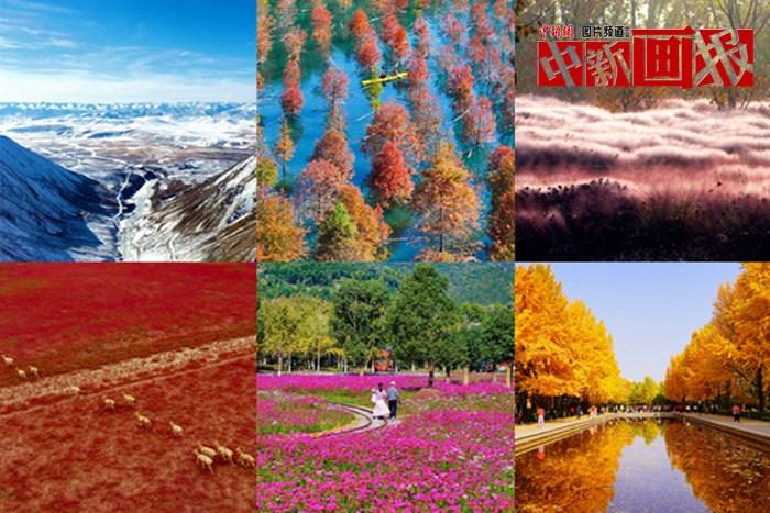 【图刊】初冬至 大自然多彩冬衣“上新”啦！