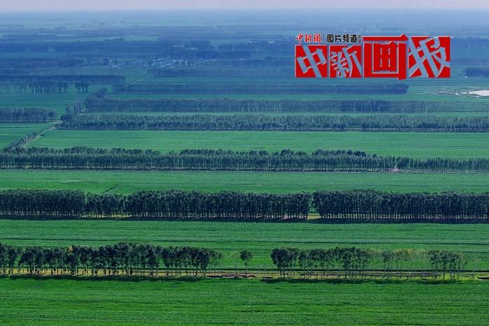 “植”此青绿 “绿色能量”根本收不完！