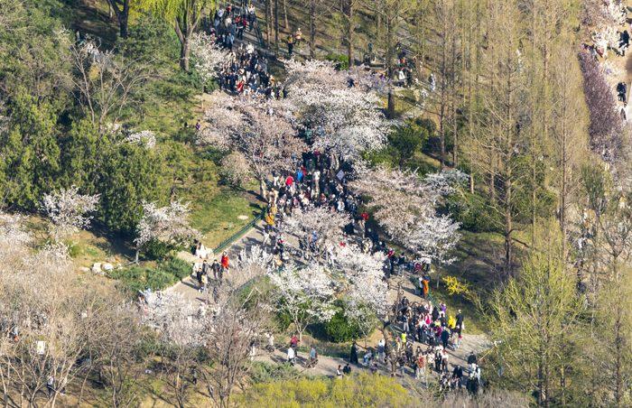 北京玉渊潭公园?；ㄓ醋罴压凵推?>
     <p>北京玉渊潭公园?；ㄓ醋罴压凵推?/p>
</a>
        </div>
    </div>
    <!--推荐图集end-->
    <div   id=