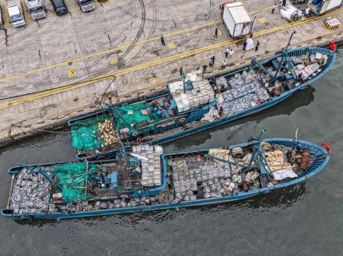 山东荣成：秋捕归来鱼满舱