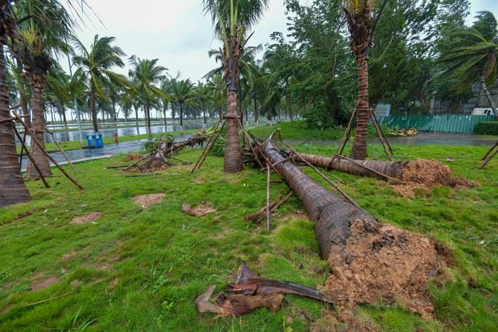 强台风“麦德姆”携强风雨影响?？?>
     <p>强台风“麦德姆”携强风雨影响海口</p>
</a><a href=
