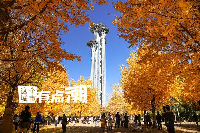 北京：切换高饱和模式 与斑斓秋色撞个满怀