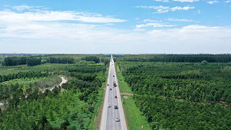 只此青绿，中国“双碳”雄心背后的山河梦 