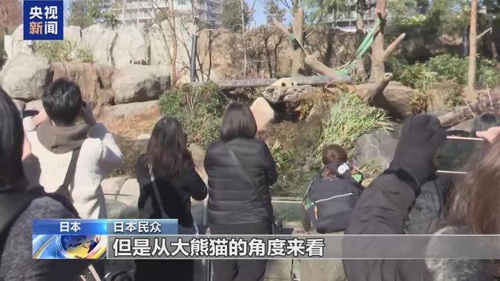 旅日大熊猫即将回国 日本民众不舍送别