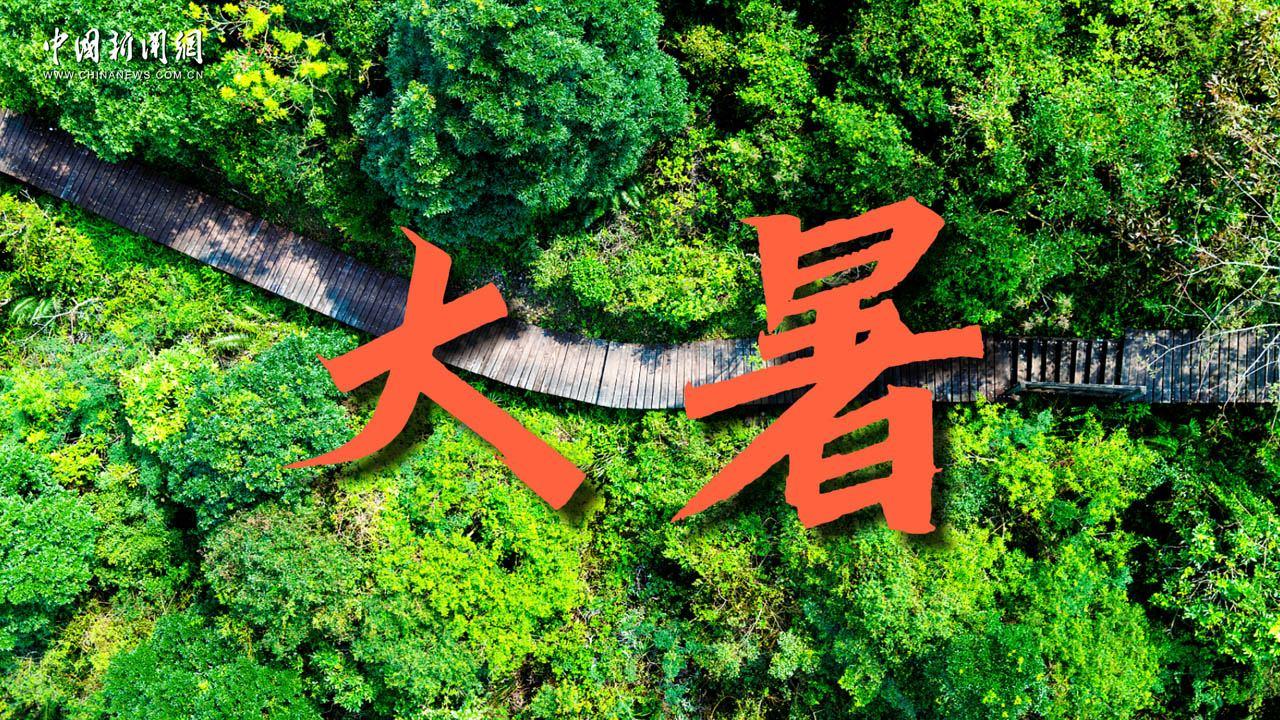 大暑：蝉鸣唤清风 万物丰盈绿意浓