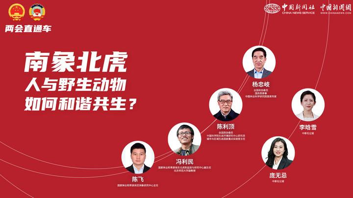 两会直通车：南象北虎 人与野生动物如何和谐共生？