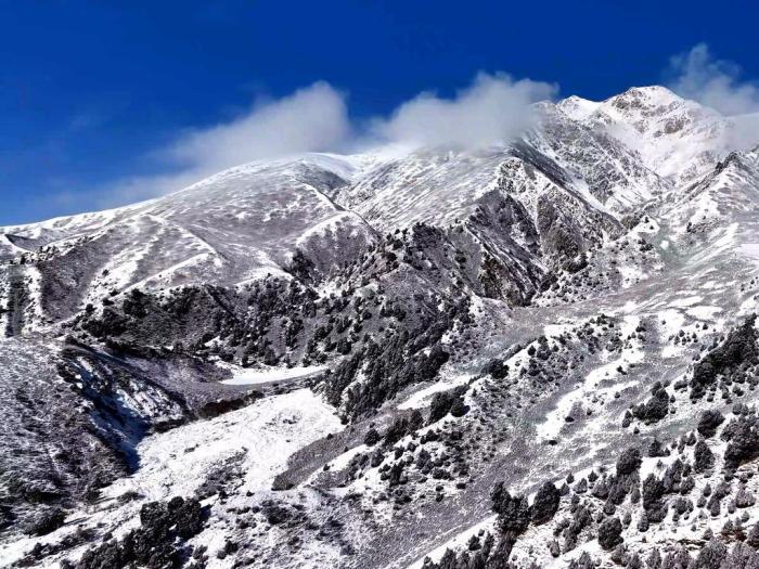 航拍冬日祁连山：雪覆山峦林海凝霜